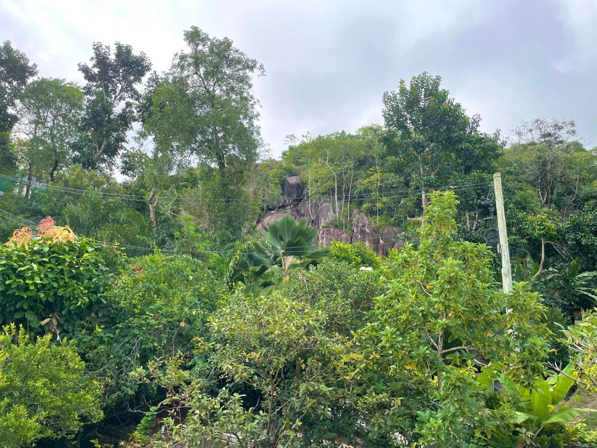 Belle Montagne Holiday Apartments Grand Anse  Luaran gambar